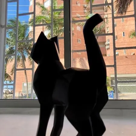 Casa Del Gato Apartamento