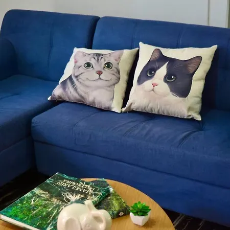 Casa Del Gato