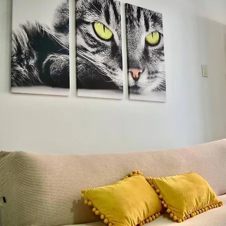 Casa Del Gato *