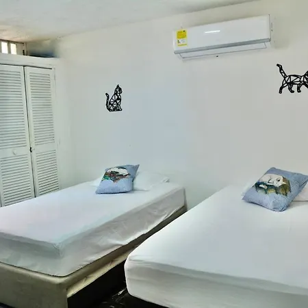 Casa Del Gato *