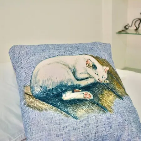 Casa Del Gato *