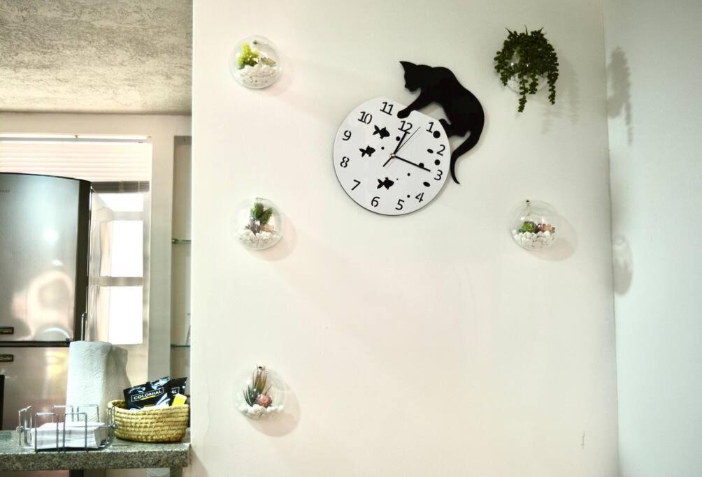 Casa Del Gato Apartamento