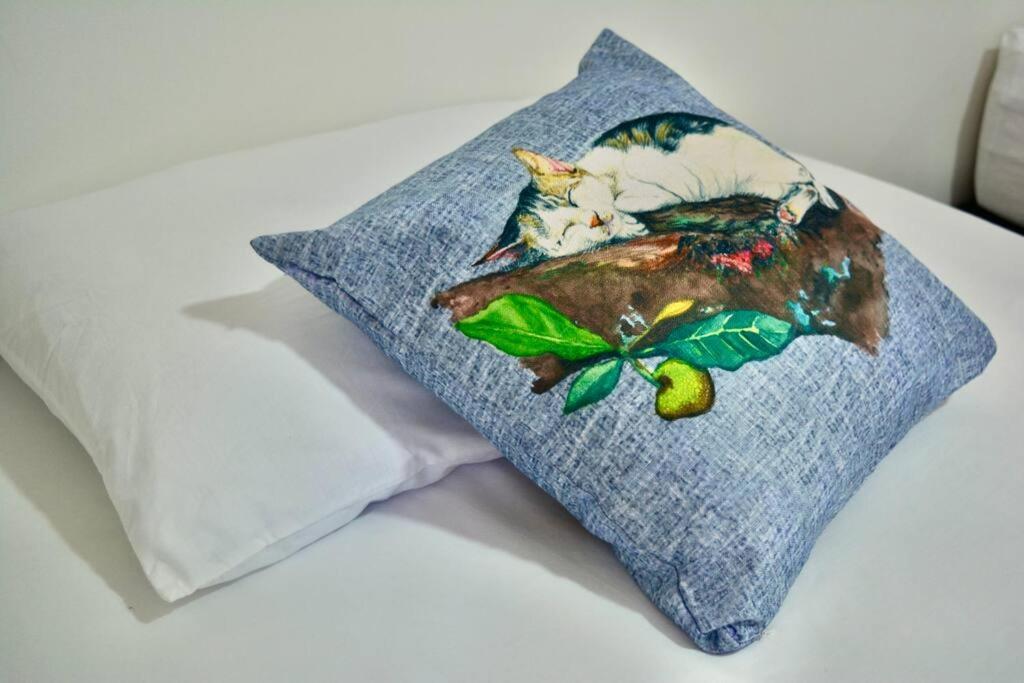 Casa Del Gato Cartagena