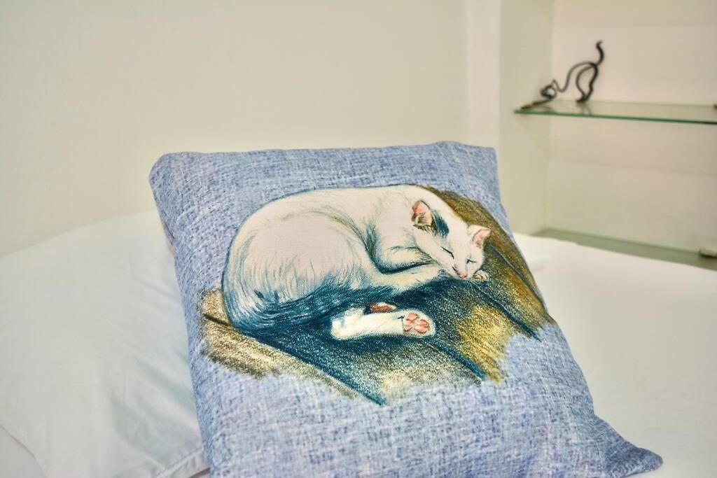 Casa Del Gato *