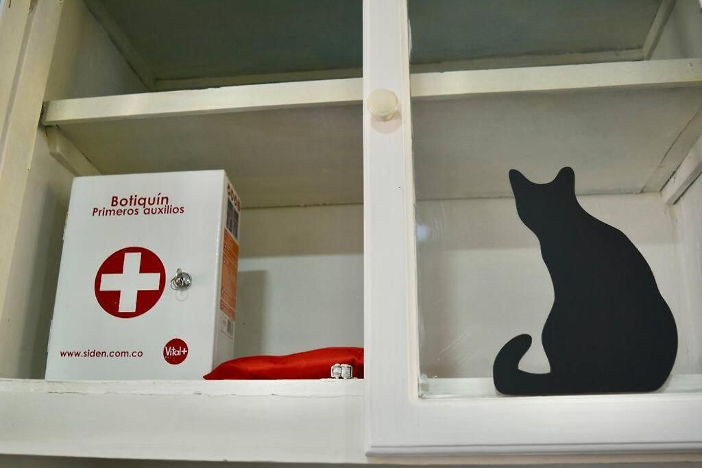 Casa Del Gato *