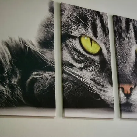 Casa Del Gato Apartamento Cartagena