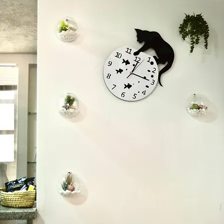 Casa Del Gato Apartamento