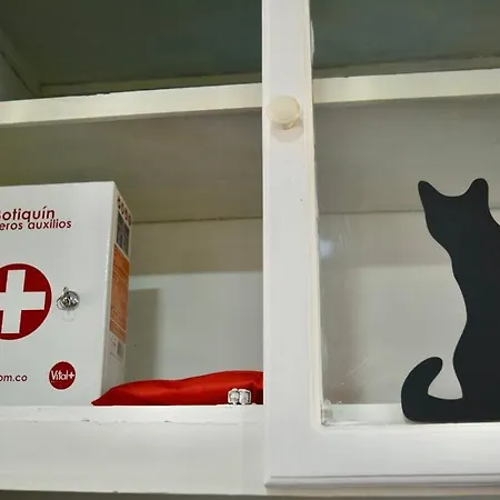 Casa Del Gato *