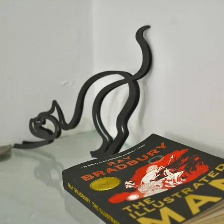 Casa Del Gato